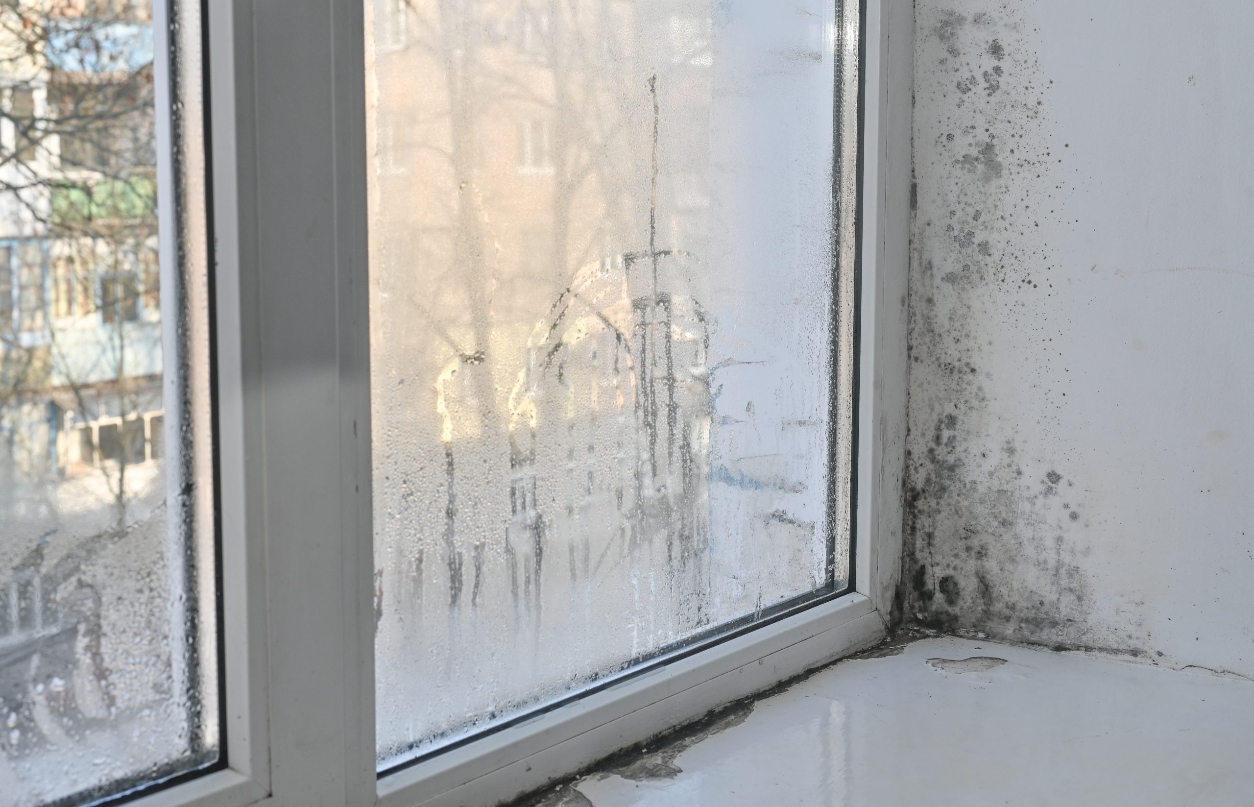 window affected by damp and mould caused by condensation